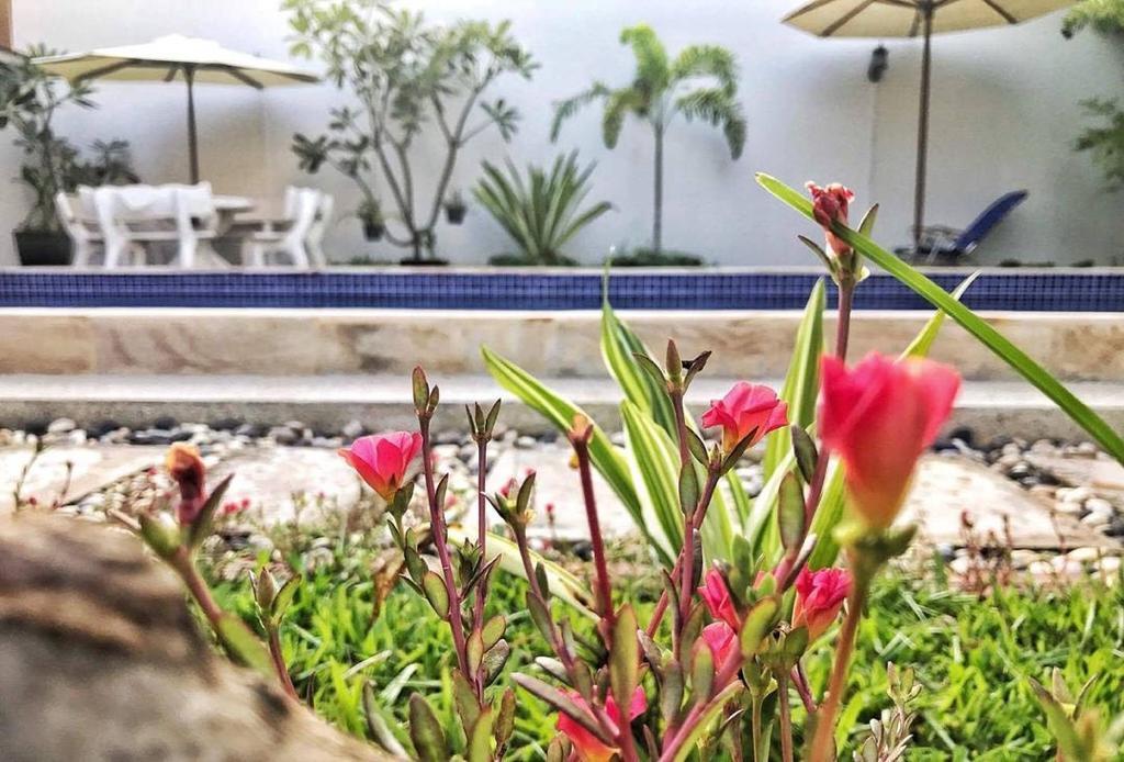 Nika'S House Hostel เสียมราฐ ภายนอก รูปภาพ